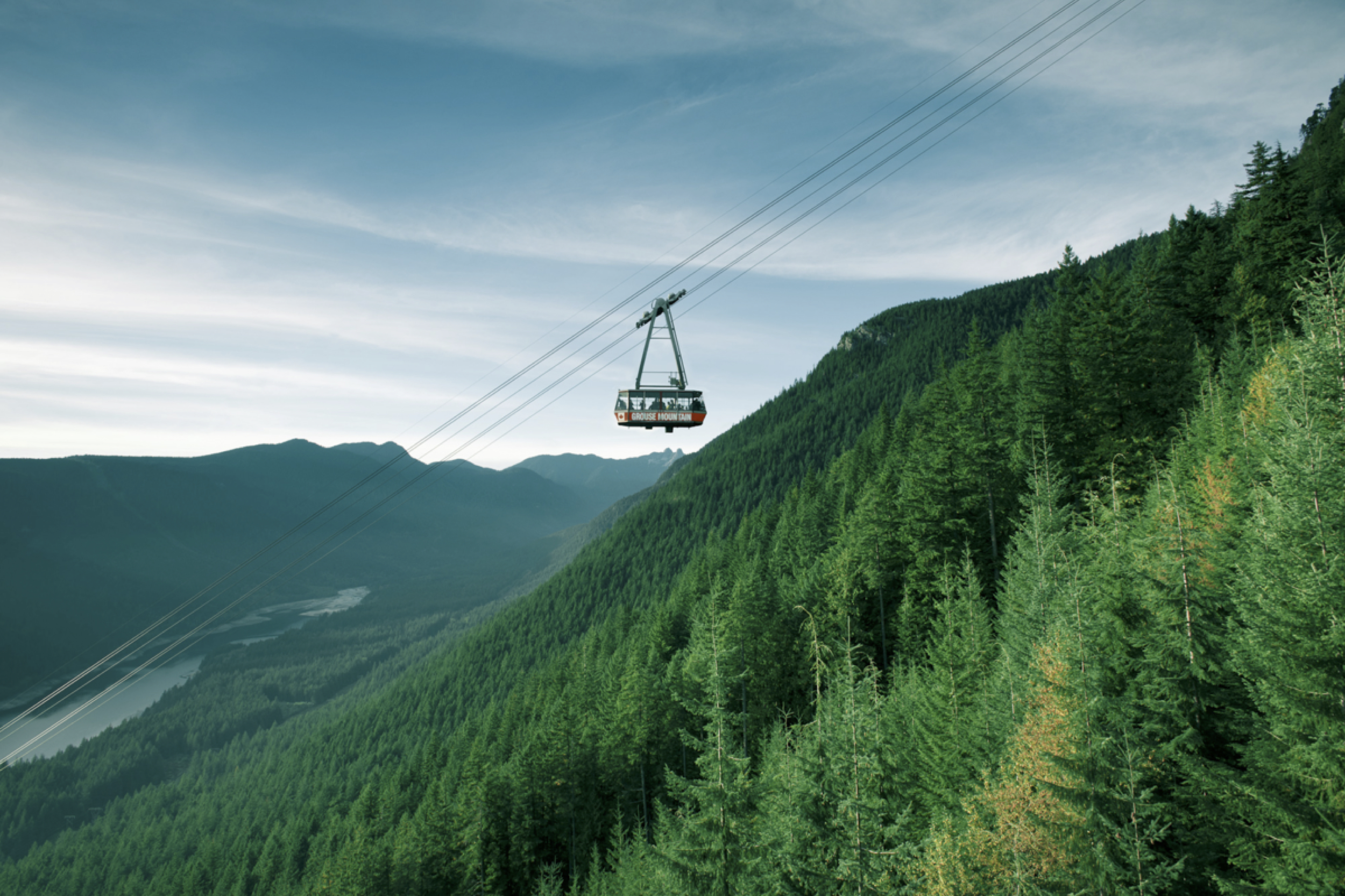 Grouse Mountain tramway over trees