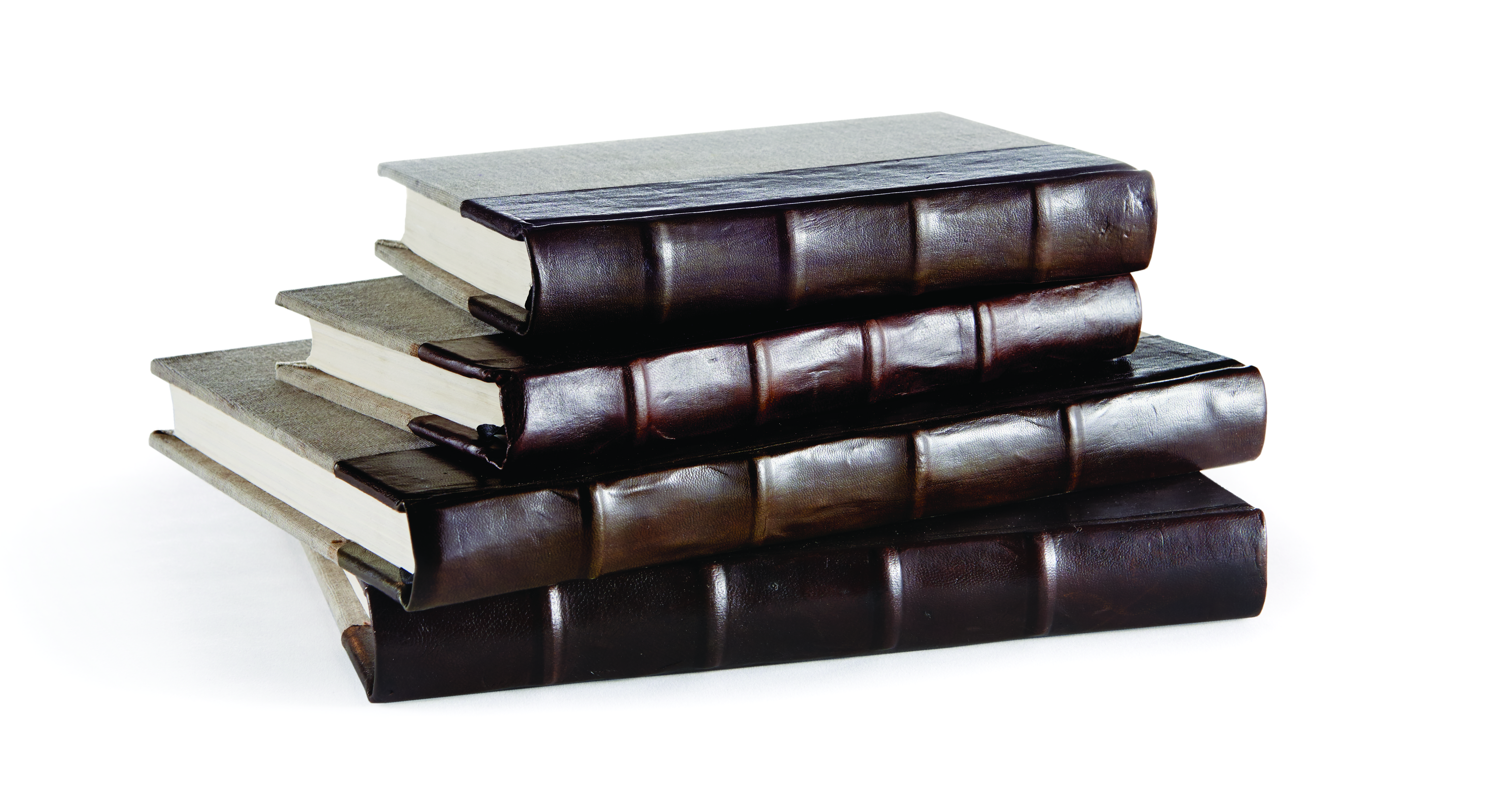 St. Jacques Library Books in brown from Napa Home & Garden