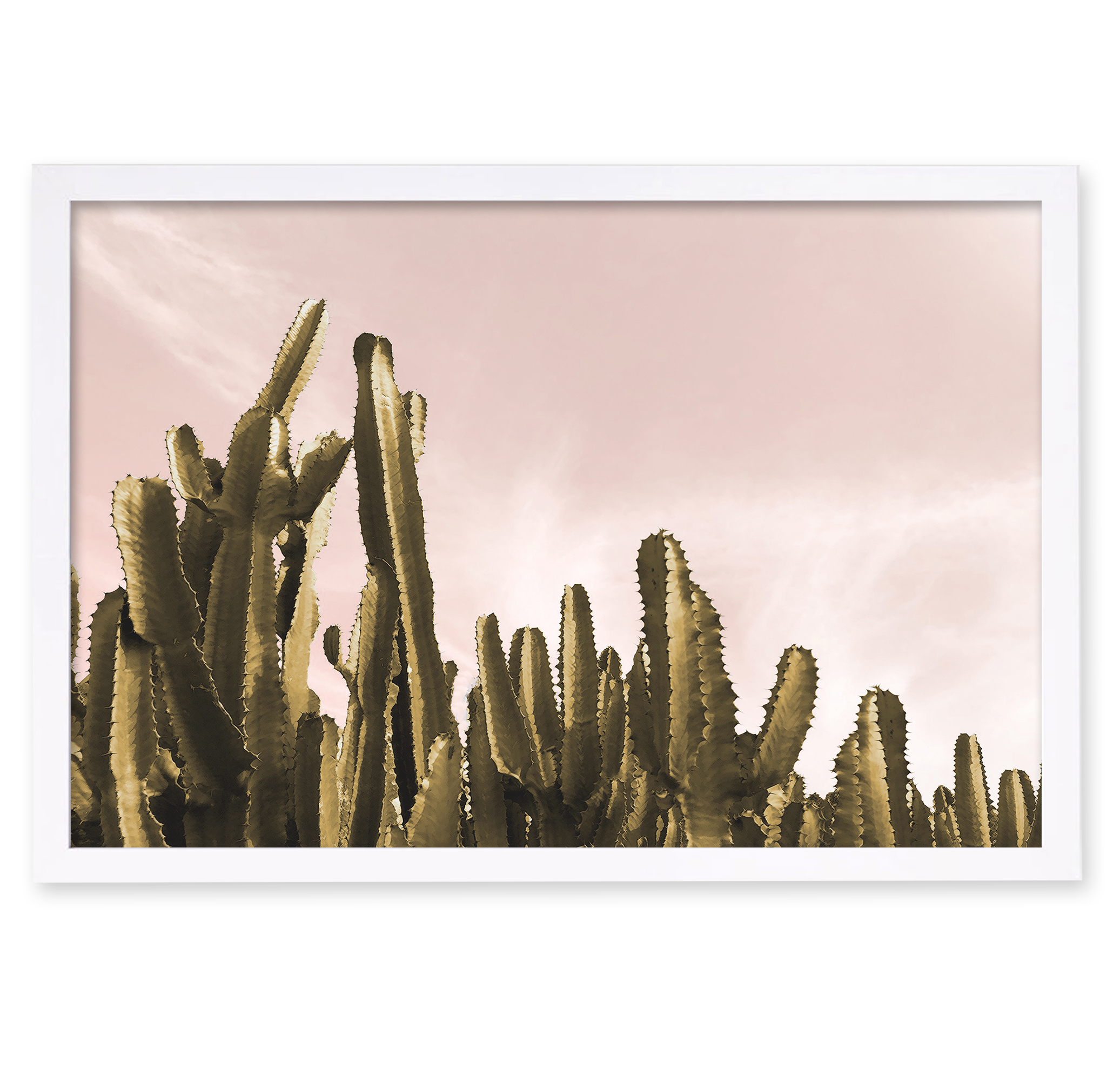 Oliver Gal Dream Landscape Cactus