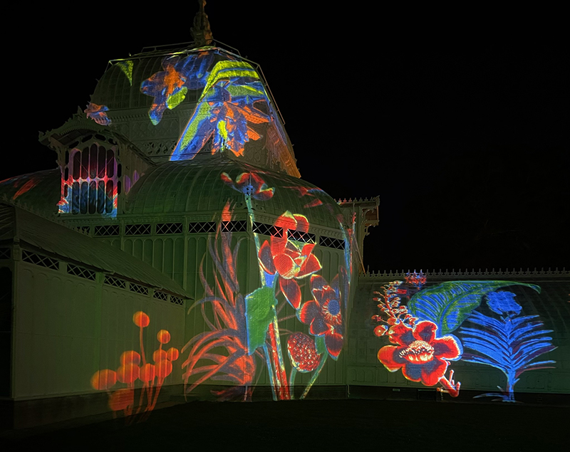 conservatory of flowers lighting exhibition, randall whitehead