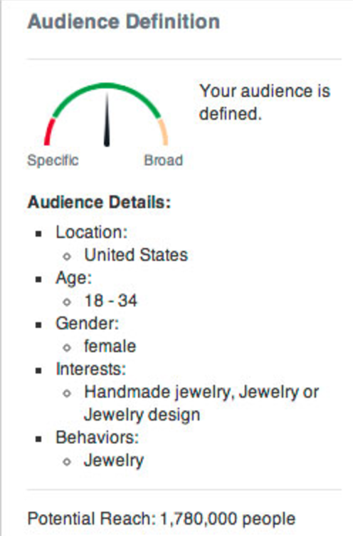 Facebook audience definition