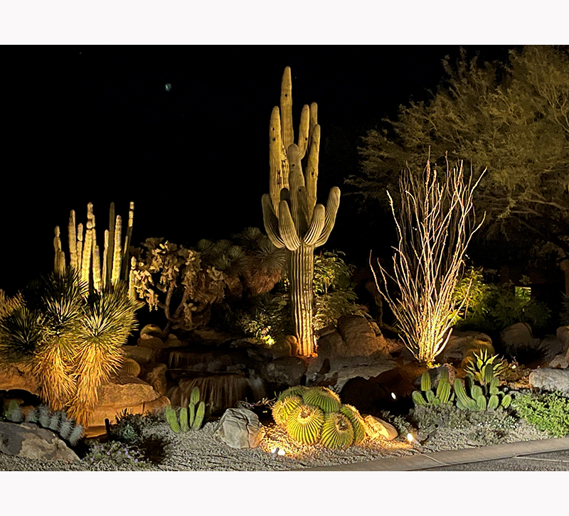 desert landscape lighting