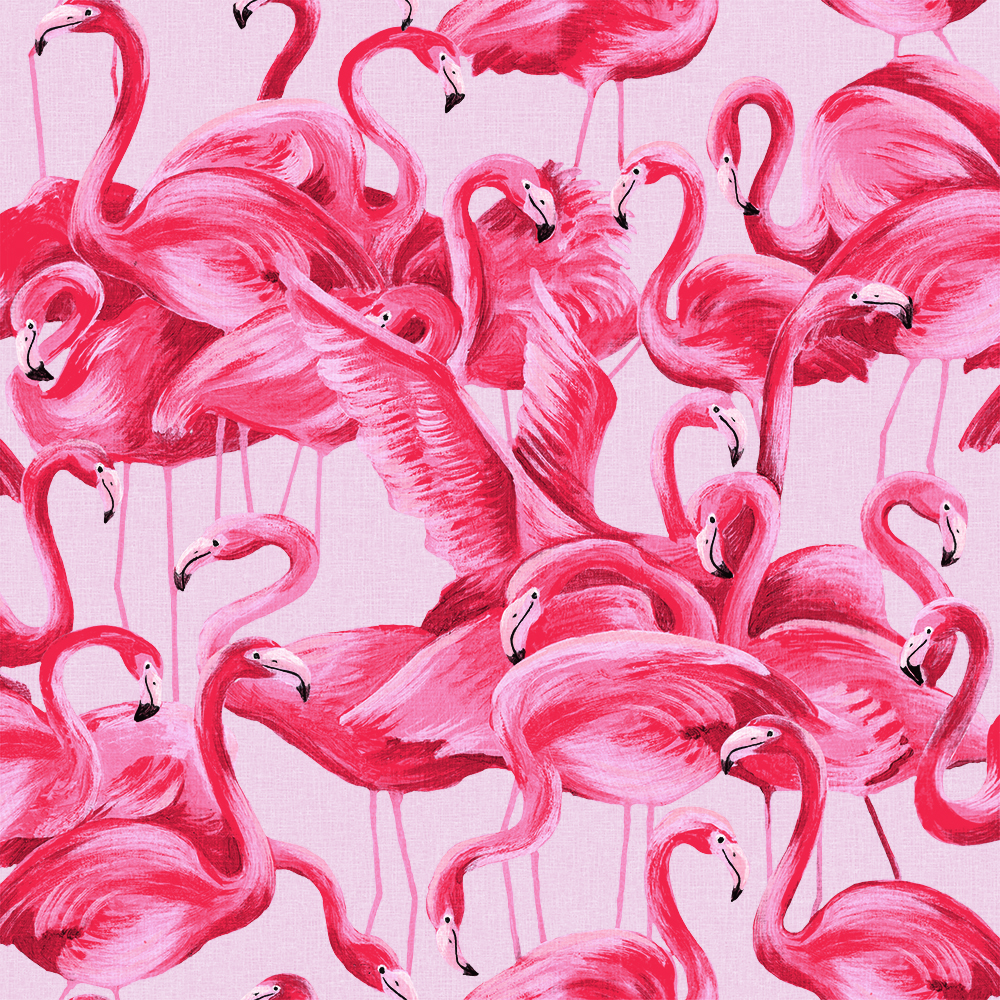 Tempaper Flamingo Cheeky Pink wallpaper