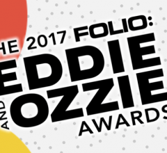 2017-Folio:-Awards-Finalist-Lighting-&-Decor