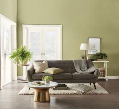Behr Paint's 2020 Color of the Year Back to Nature