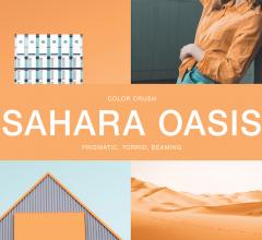Sahara Oasis Stacy Garcia