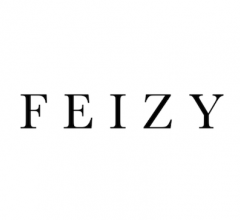 Feizy logo