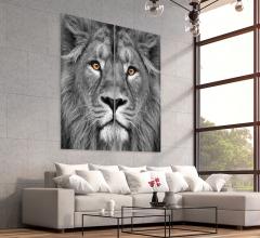 King of the Jungle wall art