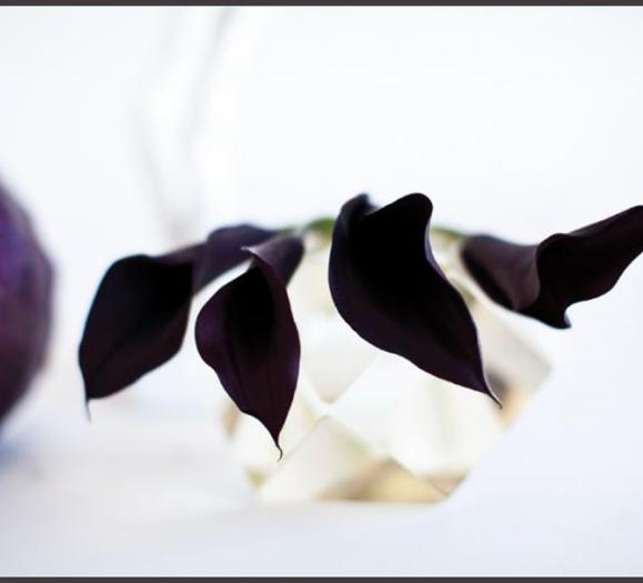 “Calla Lillies with Cabbage”