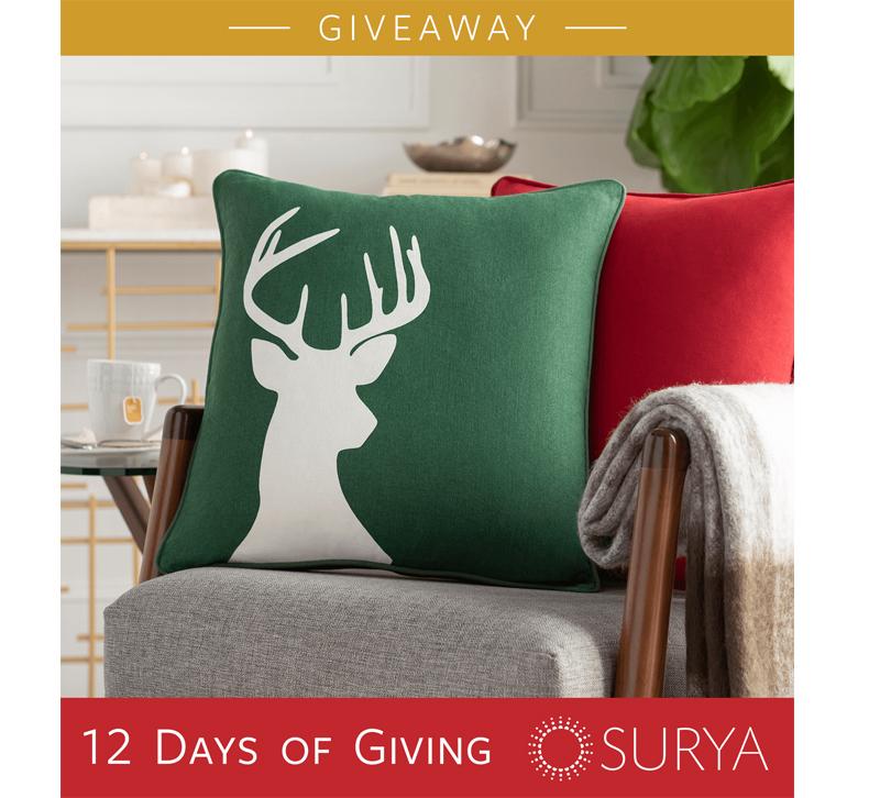 Surya 12 days of giving