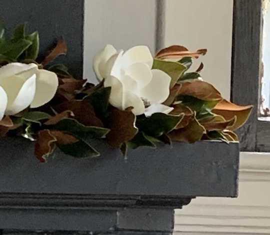 New Growth Designs Weston Farms magnolia bloom
