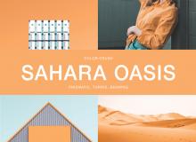 Sahara Oasis Stacy Garcia