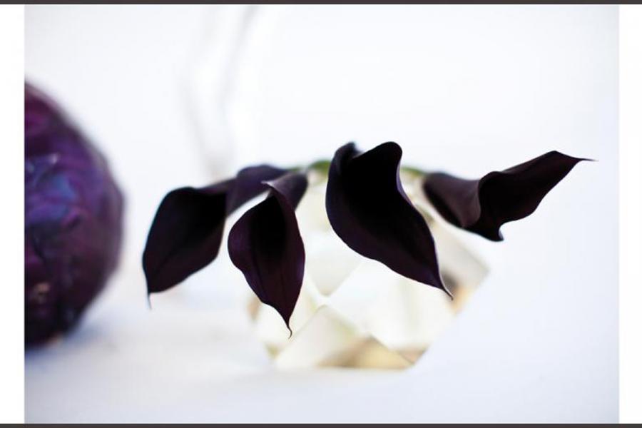 “Calla Lillies with Cabbage”